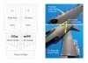Omask 80081 P-51 B/C invasion stripes 18 inches - Oramask (for Eduard) 1/48